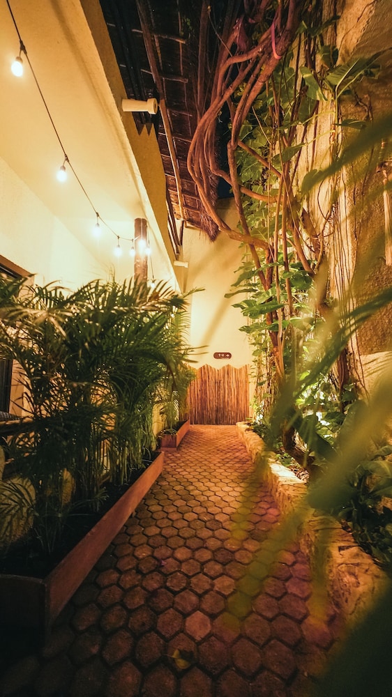 Hotel Casa Colibri — Hotel building in Playa del Carmen, Quintana Roo