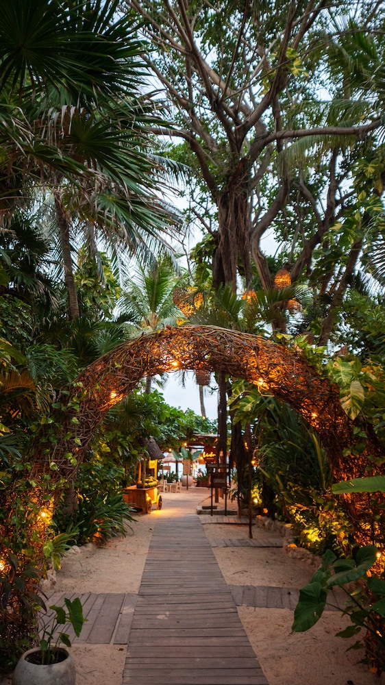 Hotel Casa Colibri — Restaurant & bars in Playa del Carmen, Quintana Roo