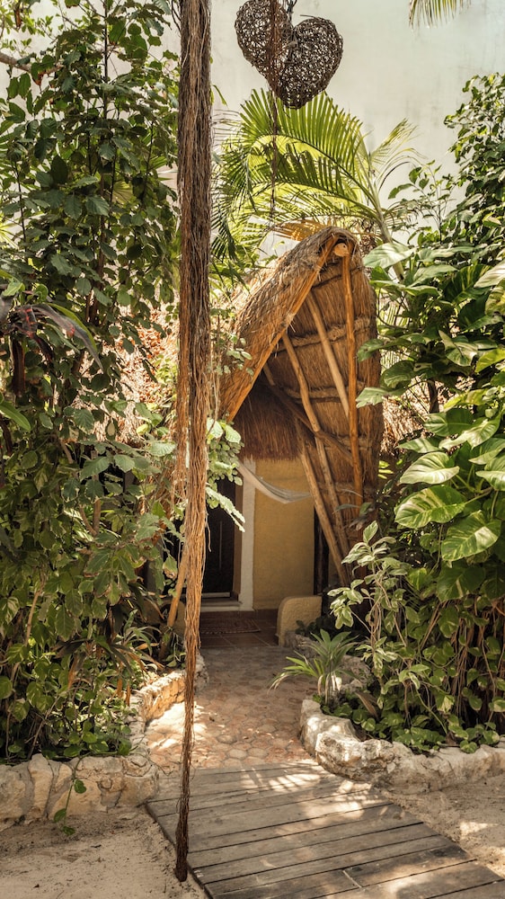 Hotel Casa Colibri — Hotel building in Playa del Carmen, Quintana Roo