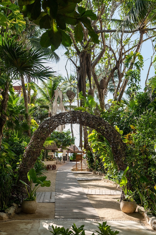 Hotel Casa Colibri — Restaurant & bars in Playa del Carmen, Quintana Roo