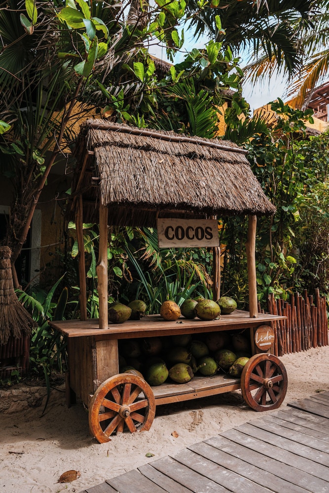 Hotel Casa Colibri — Attractions in the area in Playa del Carmen, Quintana Roo