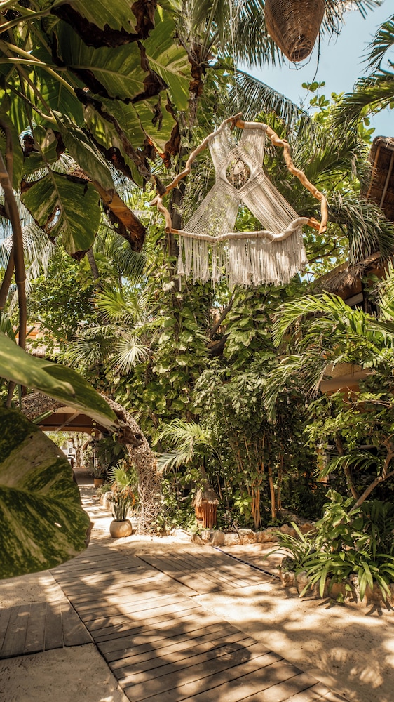 Hotel Casa Colibri — Hotel building in Playa del Carmen, Quintana Roo