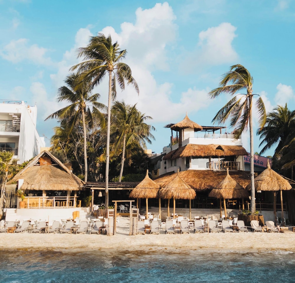 Hotel Casa Colibri — Main photo in Playa del Carmen, Quintana Roo