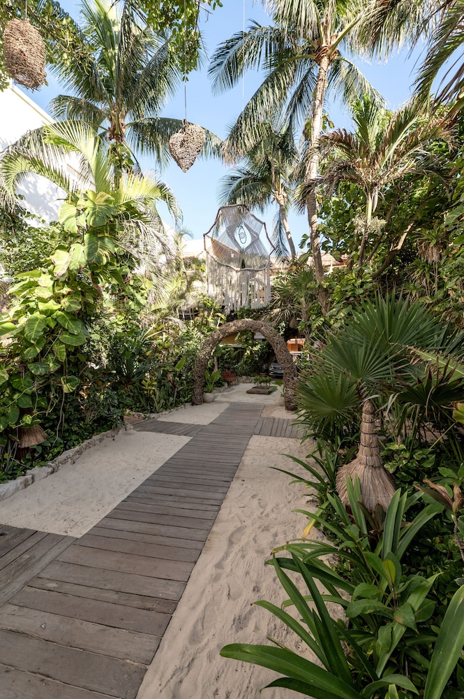 Hotel Casa Colibri — Restaurant & bars in Playa del Carmen, Quintana Roo