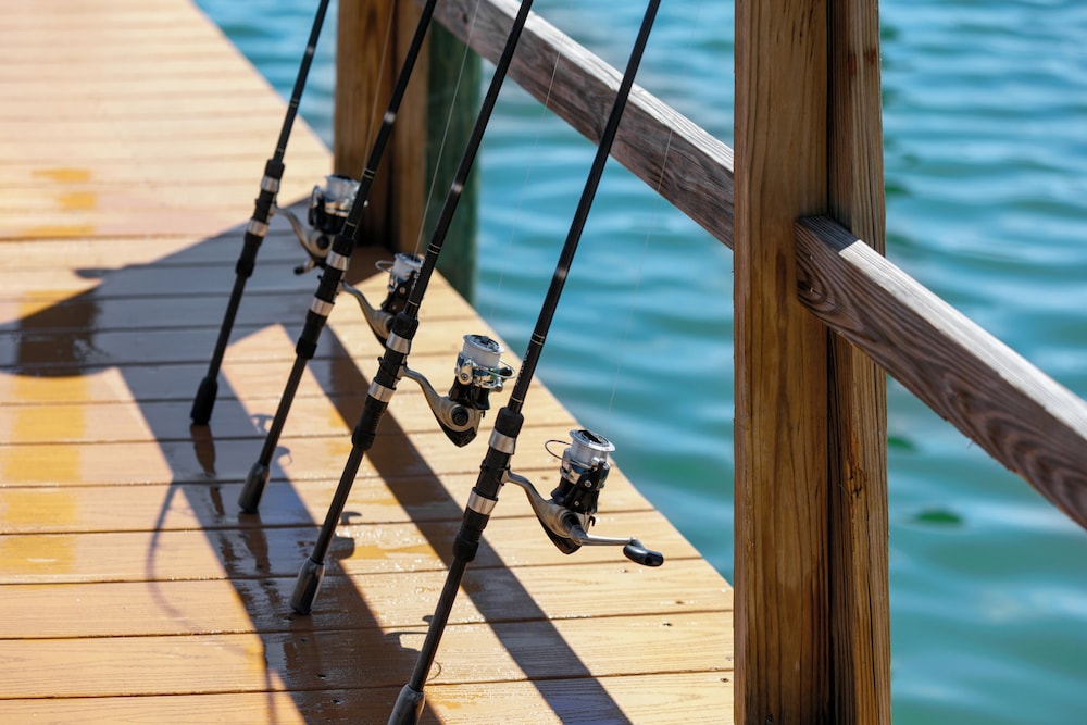 The Hotel Zamora — Sports & recreation in Tierra Verde, Florida