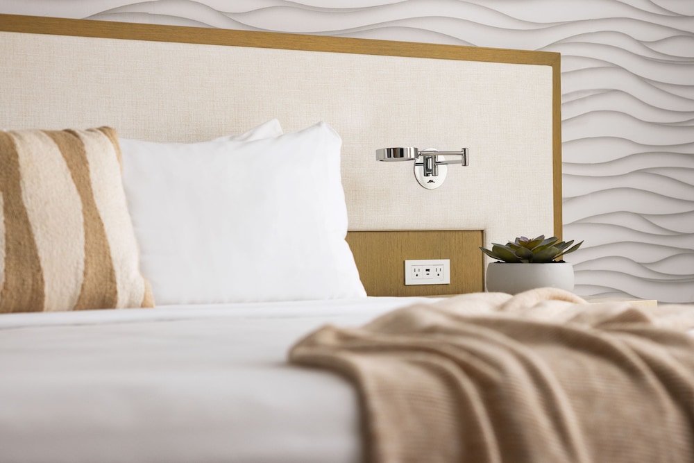 The Hotel Zamora — Hotel rooms in Tierra Verde, Florida