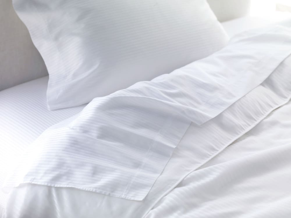Le Méridien Tampa, The Courthouse — Hotel rooms in Tampa, Florida