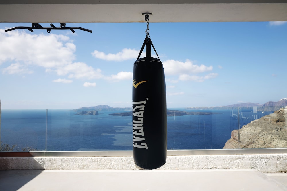 Caldera's Dolphin Suites — Sports & recreation in Megalochori (Santorini), South Aegean