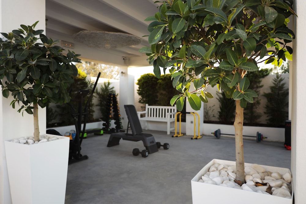 Caldera's Dolphin Suites — Sports & recreation in Megalochori (Santorini), South Aegean