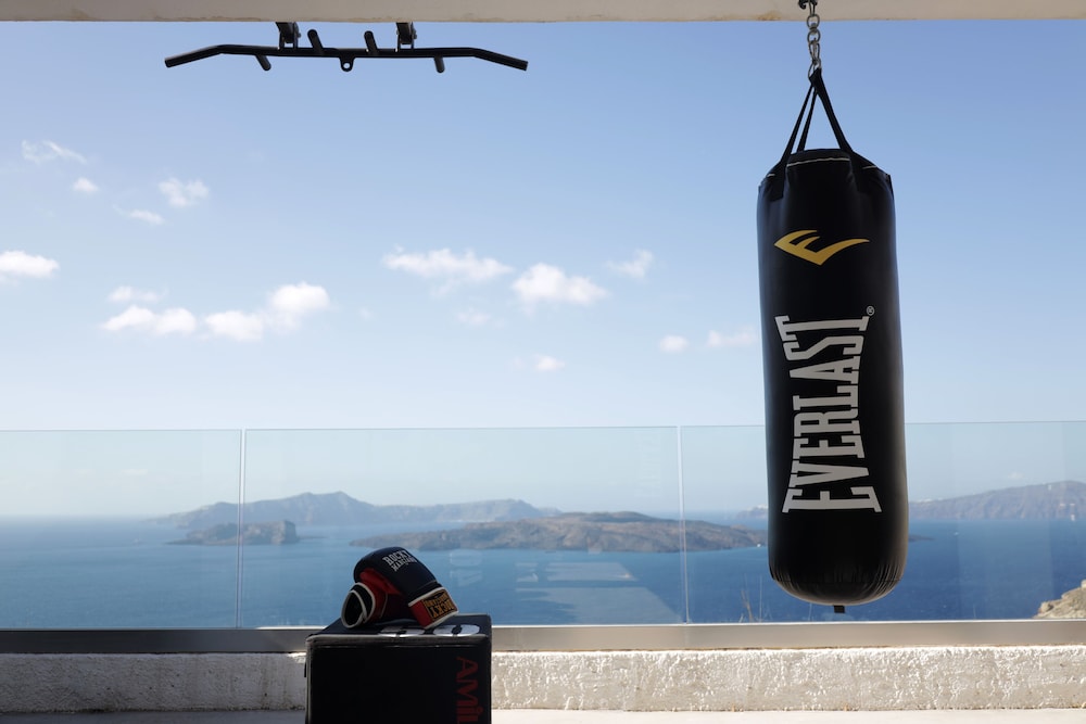 Caldera's Dolphin Suites — Sports & recreation in Megalochori (Santorini), South Aegean
