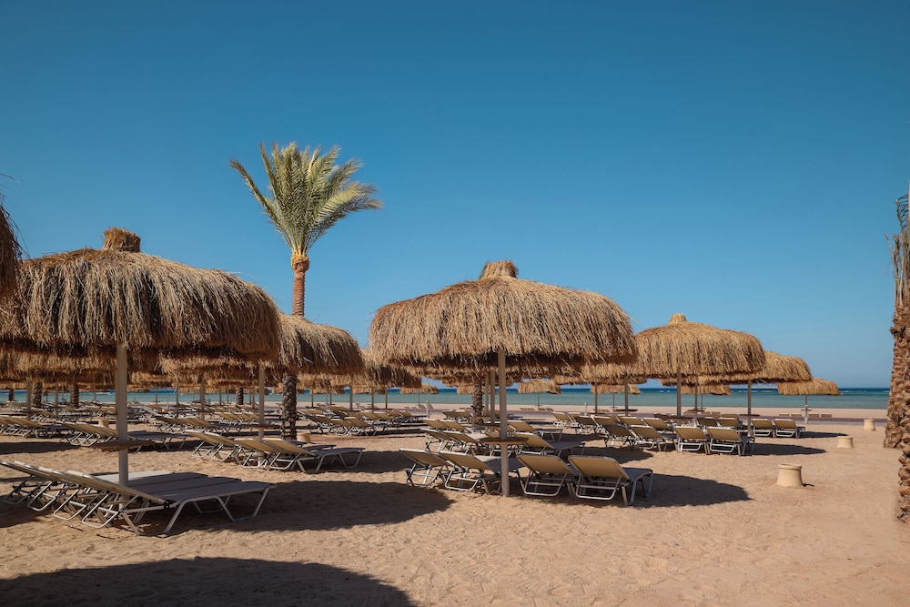 JAZ Elite Asteria — Beach in Sahl Hasheesh, Red Sea