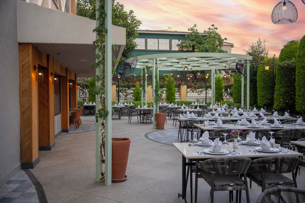 My Home Resort - All inclusive — Restaurant & bars in Alanya