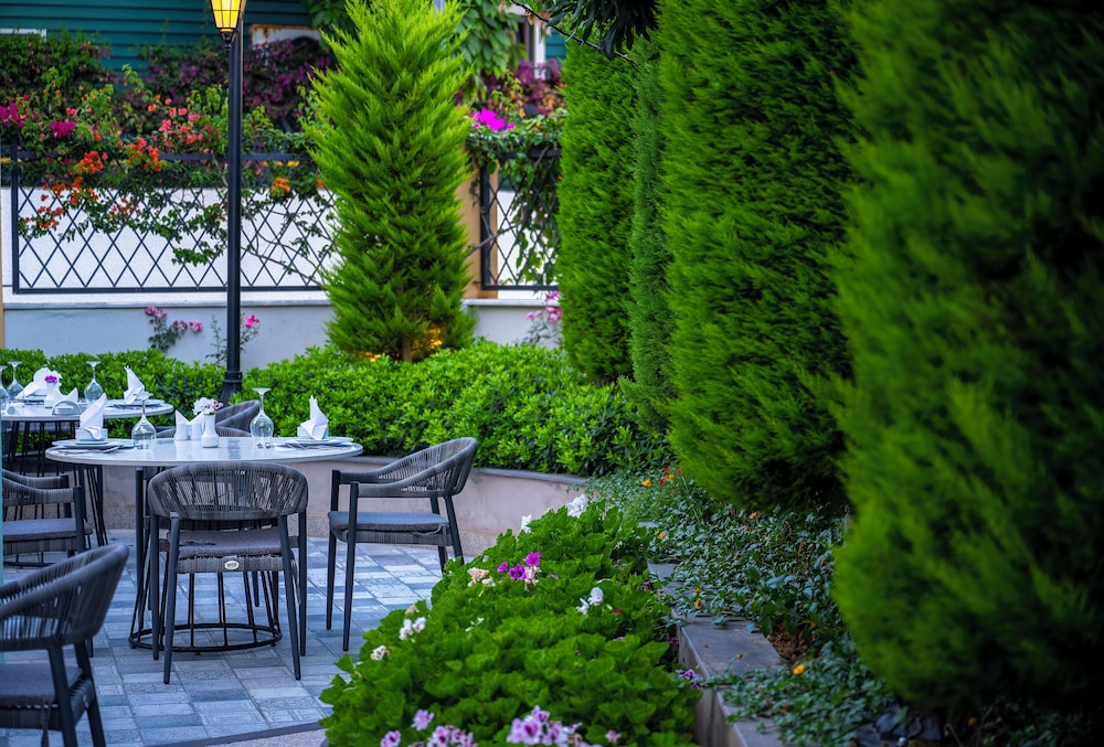 My Home Resort - All inclusive — Restaurant & bars in Alanya