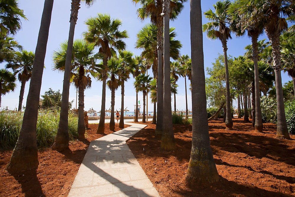 Hipotels Mediterraneo Club — Beach in Sa Coma, Balearic Islands