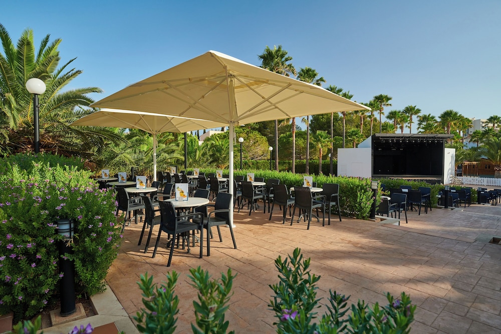 Hipotels Mediterraneo Club — Restaurant & bars in Sa Coma, Balearic Islands