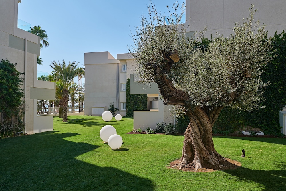 Hipotels Mediterraneo Club — Hotel building in Sa Coma, Balearic Islands