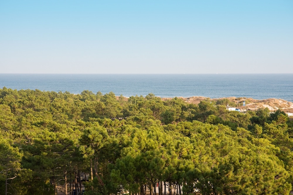 Monte Gordo Hotel Apartamentos & Spa — Attractions in the area in Monte Gordo, Faro