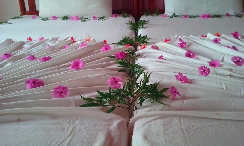 Ocean View — Hotel rooms in Bentota