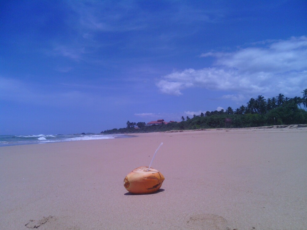 Ocean View — Beach in Bentota