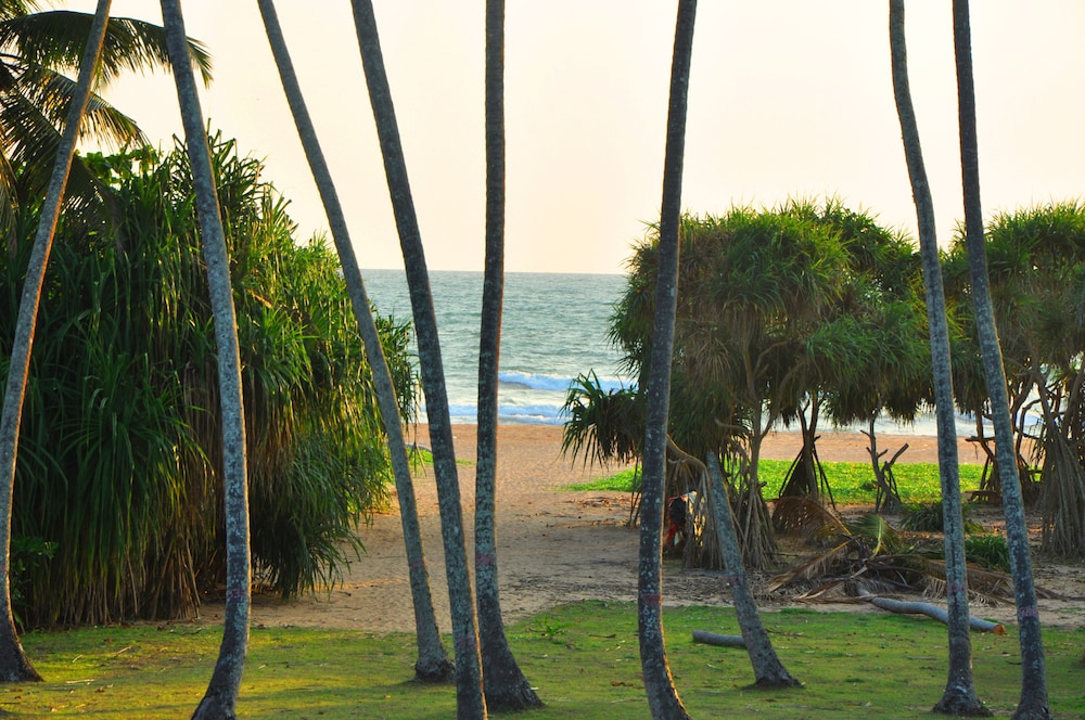 Ocean View — Beach in Bentota
