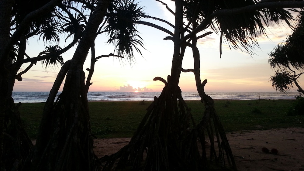 Ocean View — Beach in Bentota