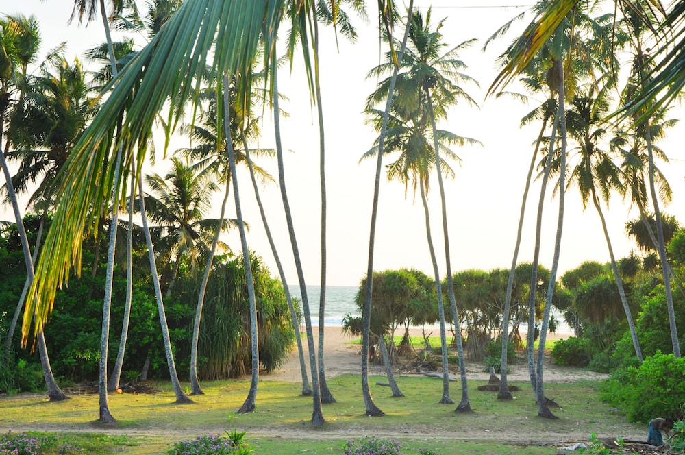 Ocean View — Beach in Bentota
