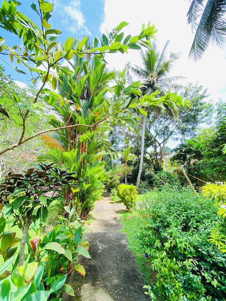 Leijay Garden Retreat — Attractions in the area in Galle, Southern Province
