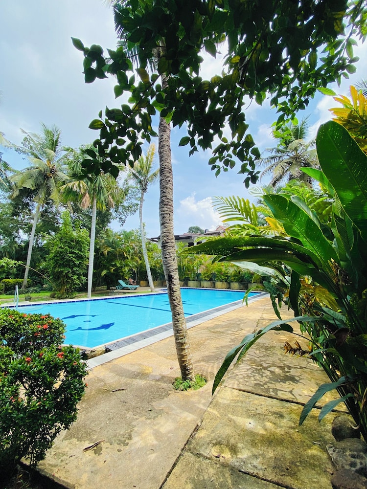 Leijay Garden Retreat — Swimming pool in Galle, Southern Province