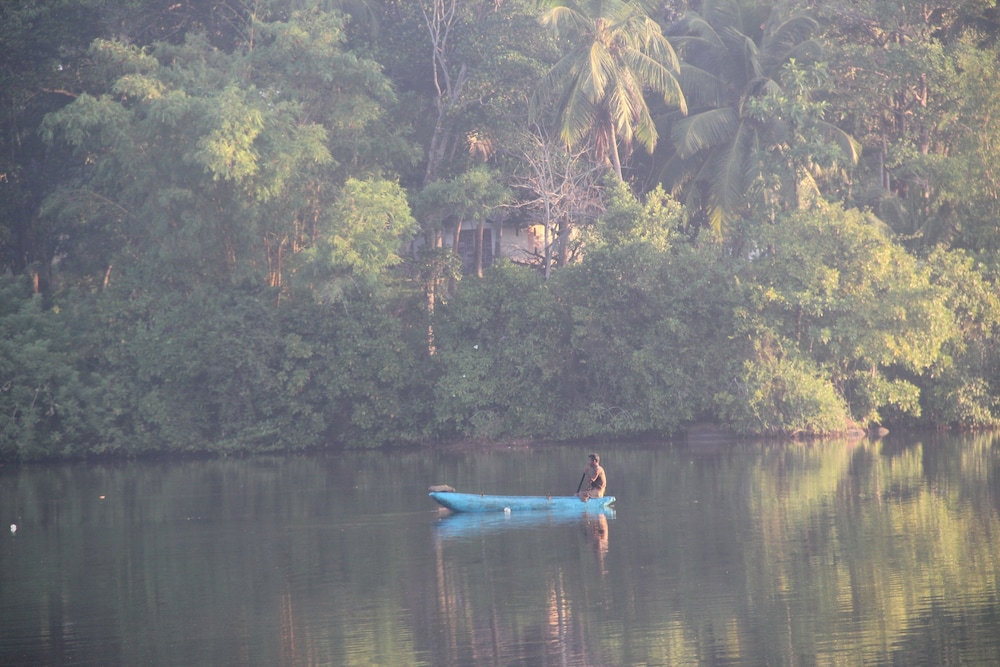 Asian Jewel Boutique Hotel — Attractions in the area in Hikkaduwa, Southern Province