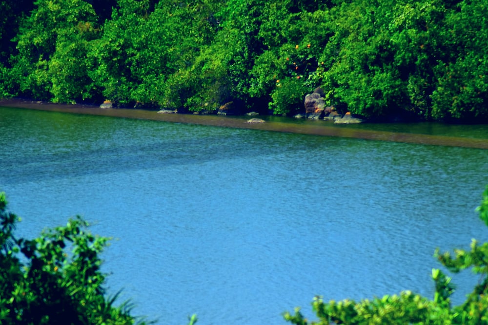 Asian Jewel Boutique Hotel — Attractions in the area in Hikkaduwa, Southern Province
