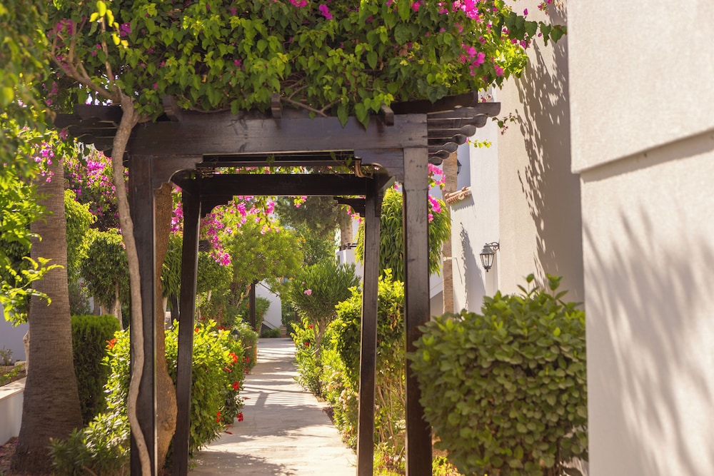 Kapetanios Aqua Resort — Hotel building in Peyia, Paphos Region