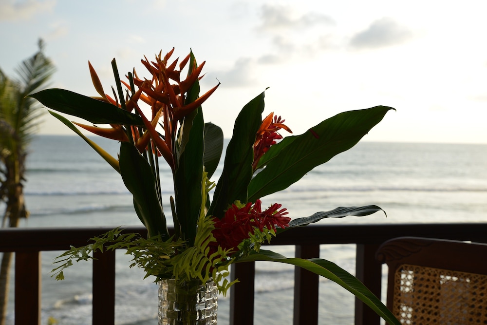 Surf Station — Beach in Ahangama, Southern Province