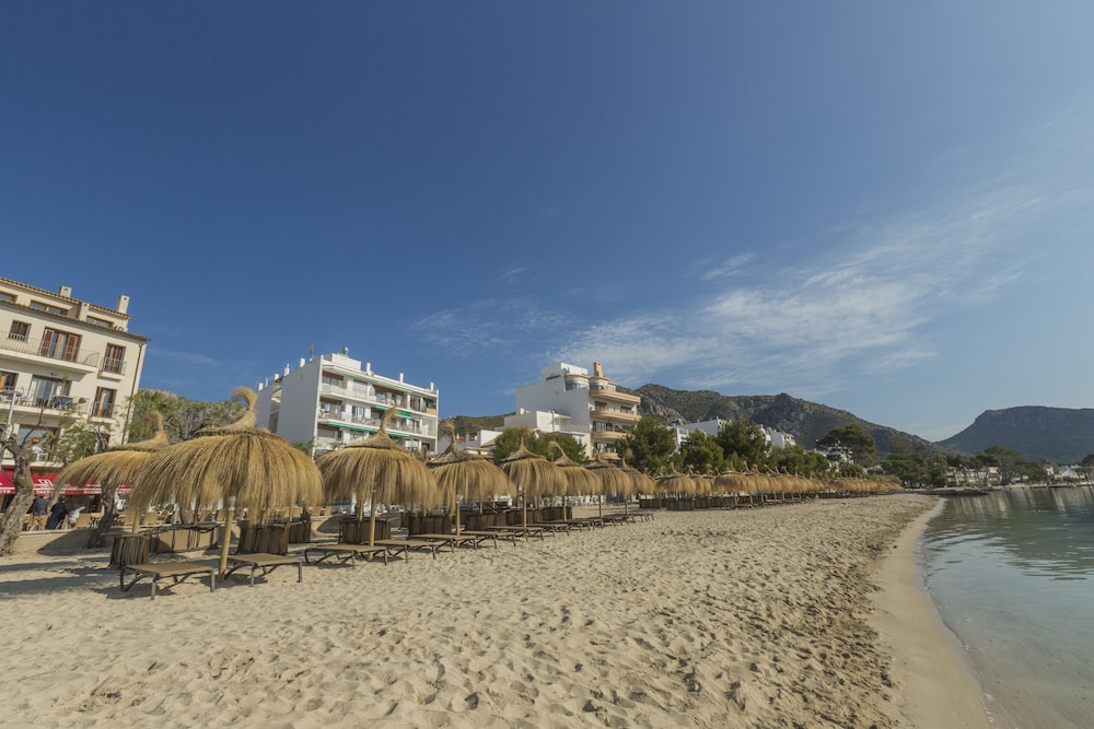 Aparthotel Flora — Beach in Puerto Pollensa, Balearic Islands