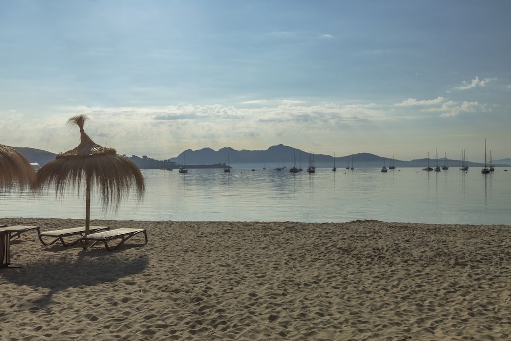 Aparthotel Flora — Beach in Puerto Pollensa, Balearic Islands