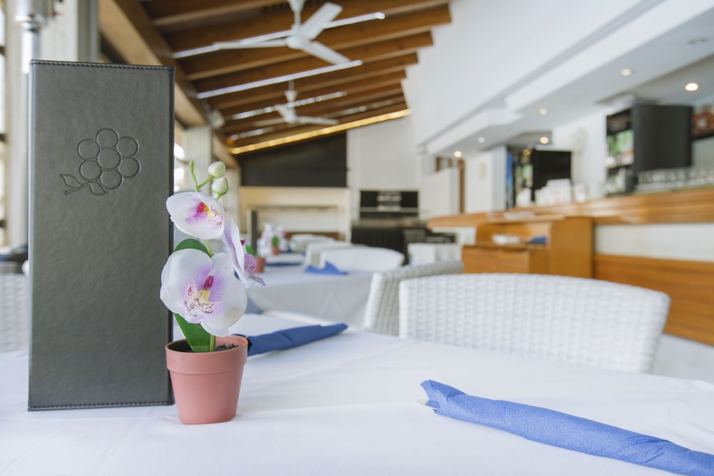 Aparthotel Flora — Restaurant & bars in Puerto Pollensa, Balearic Islands