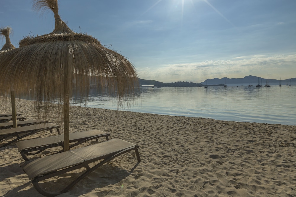 Aparthotel Flora — Beach in Puerto Pollensa, Balearic Islands
