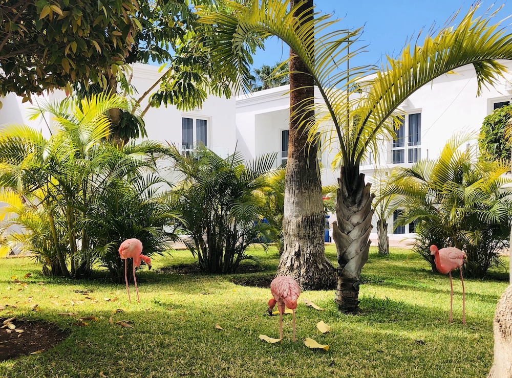 Flamingo Beach Mate — Hotel building in Costa Adeje, Canary Islands