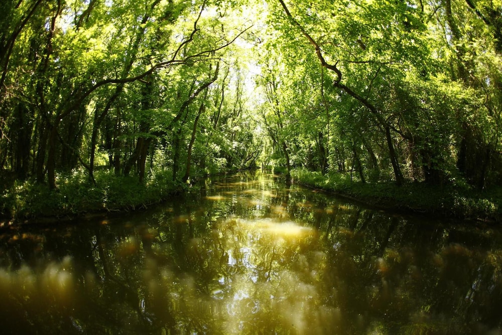 Hotel Slavuna — Attractions in the area in Albena, Dobrich