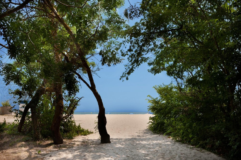 Hotel Slavuna — Beach in Albena, Dobrich