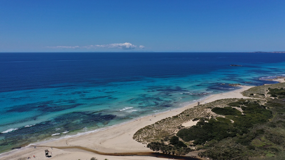 Villas Finesse — Beach in Son Bou, Balearic Islands