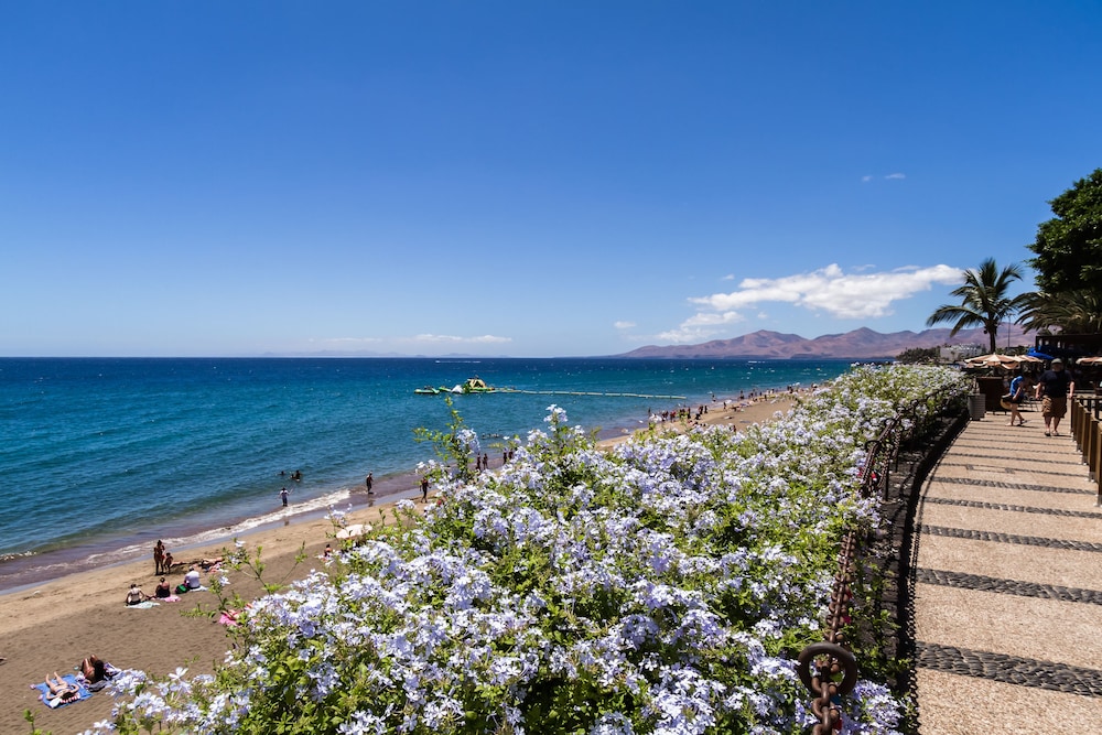 BLUESEA Los Cocoteros — Beach in Puerto del Carmen, Canary Islands