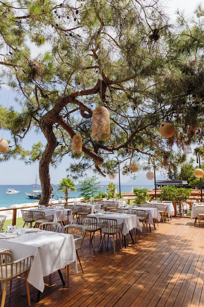 Fun Sun Family Club Saphire — Restaurant & bars in Kemer