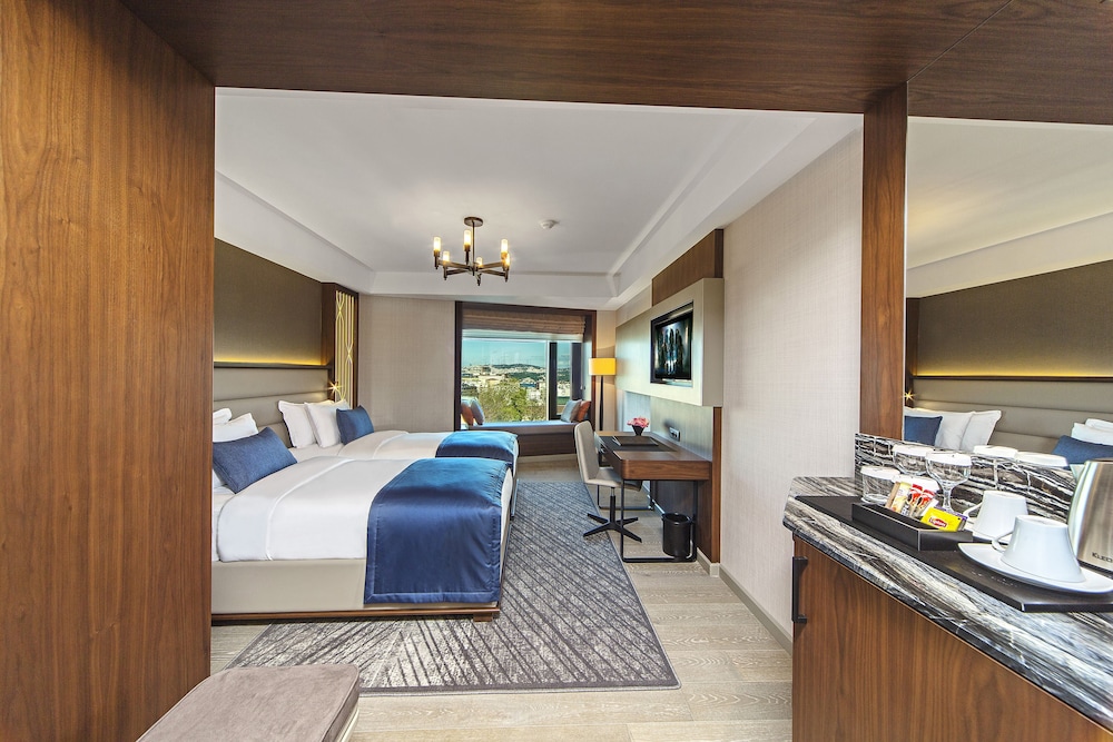 Arts Hotel Istanbul - Special Class — Hotel rooms in Istanbul, Istanbul