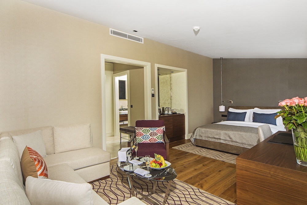 Arts Hotel Istanbul - Special Class — Hotel rooms in Istanbul, Istanbul