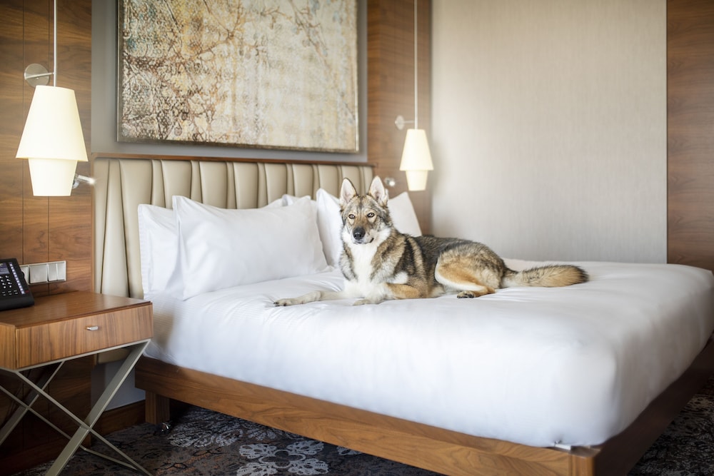 DoubleTree by Hilton Krakow Hotel & Convention Center — Hotel rooms in Krakow, Lesser Poland