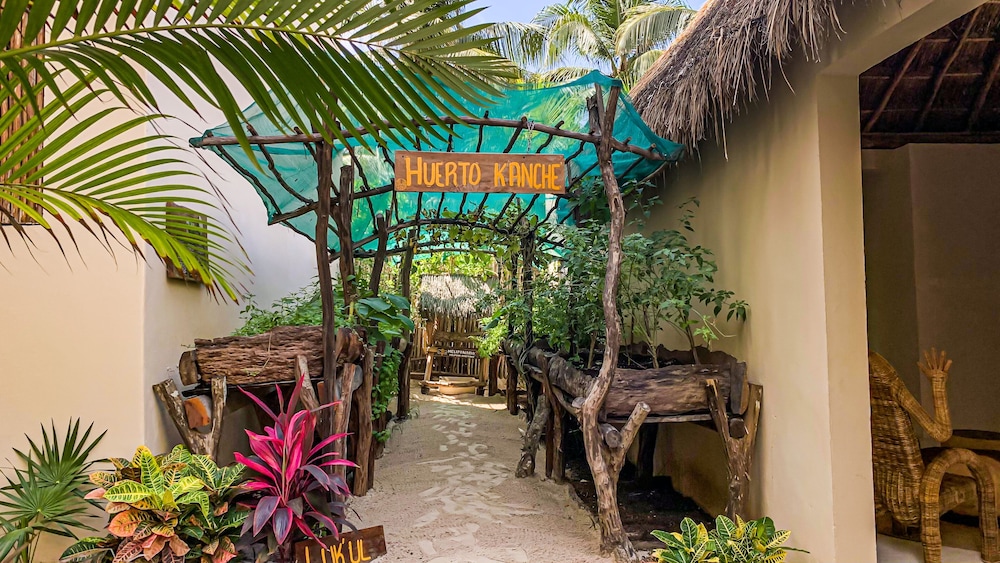 Dune Boutique Hotel located at the party zone — Attractions in the area in Tulum, Quintana Roo