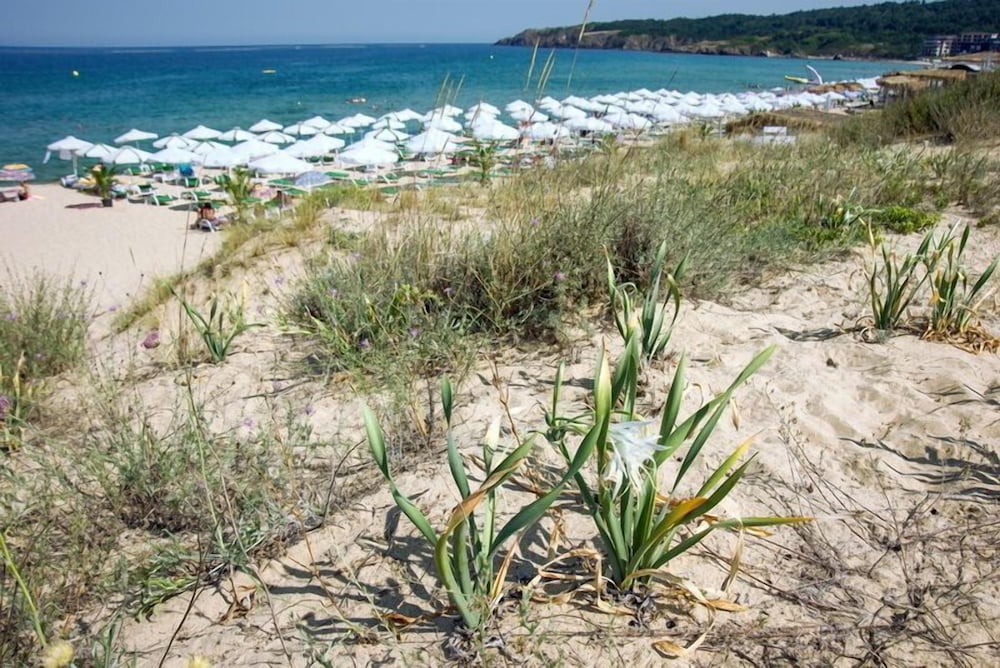Hotel Miramar — Beach in Sozopol, Burgas Region
