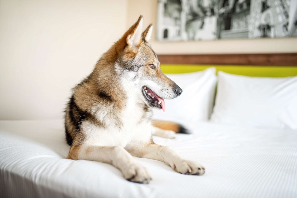 Hampton by Hilton Krakow — Hotel rooms in Krakow, Lesser Poland