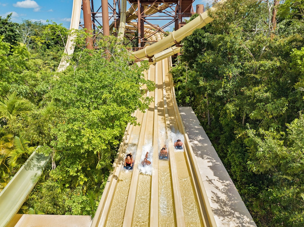 Jungala Hotel at VidantaWorld Riviera Maya — Attractions in the area in Playa del Carmen, Quintana Roo