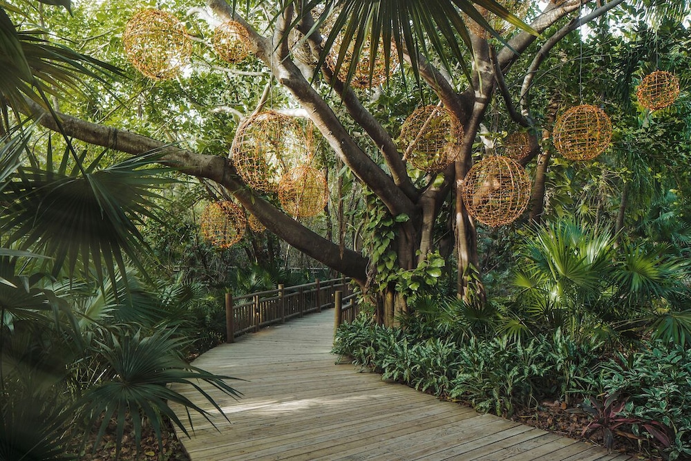 Jungala Hotel at VidantaWorld Riviera Maya — Attractions in the area in Playa del Carmen, Quintana Roo